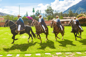 Ollantaytambo,,Cusco,/,Peru,-,March,8,,2020:,Peruvian,Paso