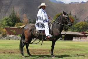 Urubamba,,Peru,-,October,1,,2016:,Peruvian,Gaucho,On,Paso